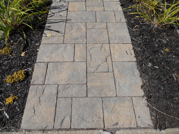 Stamped Concrete Staining in Novato