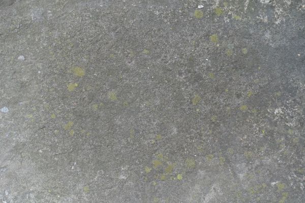 Cost of Slab Staining Service in Novato